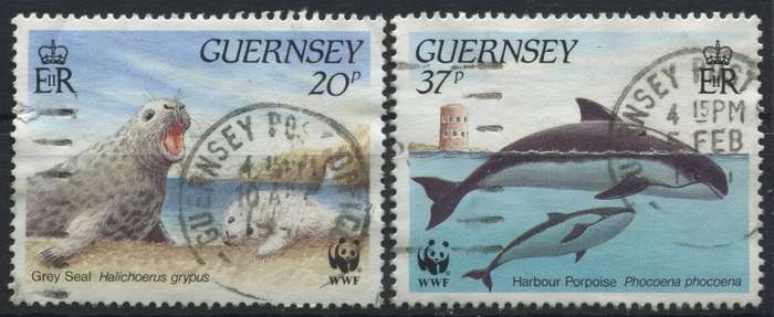 Guernsey