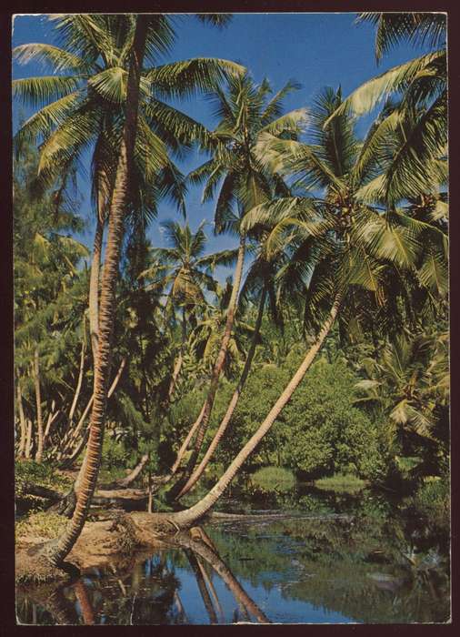 Seychelles - Post card - Used