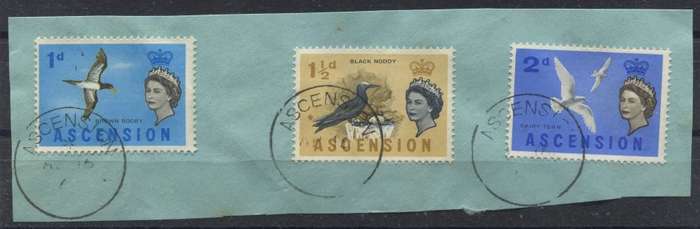 Ascension - Used on Piece