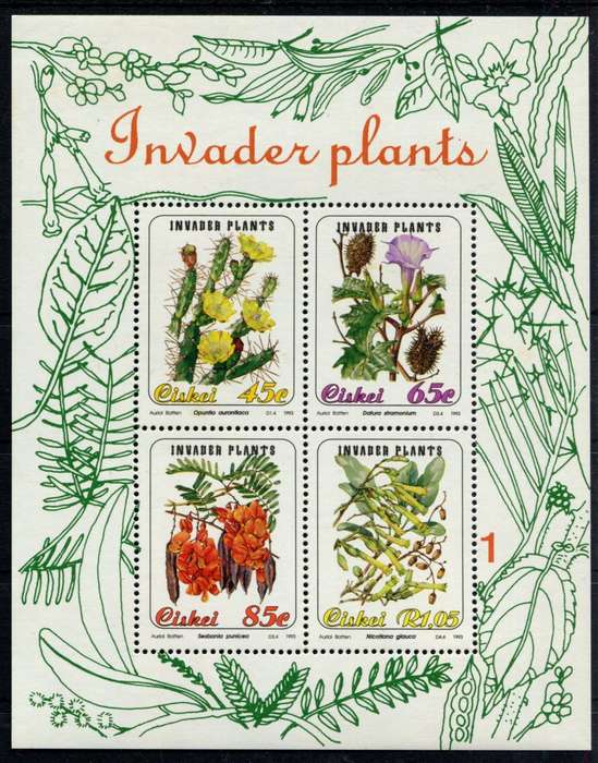 Ciskei - Miniature Sheet - 1993 - MNH