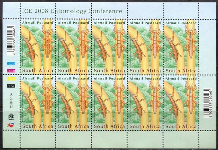 RSA - 1 Full Sheet of 10 - 2008 - MNH