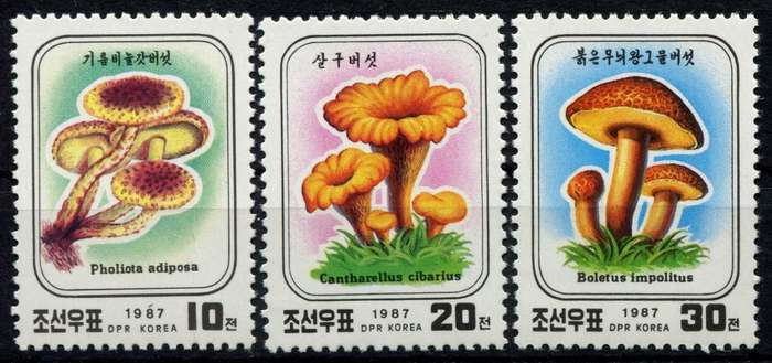 North Korea - Mushrooms  - 1987 - MNH