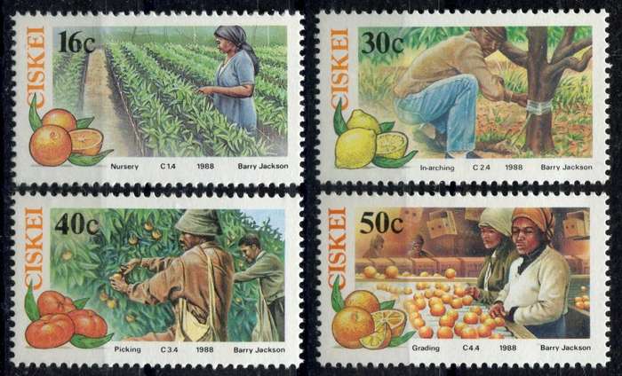 Ciskei - 1988 - MNH