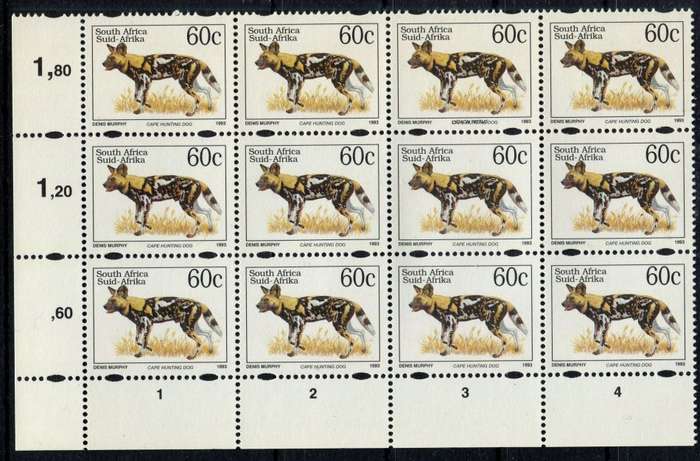 RSA  - 6th Definitive - English Name Printed Over Latin  - Block of 12 - 1993  - MNH