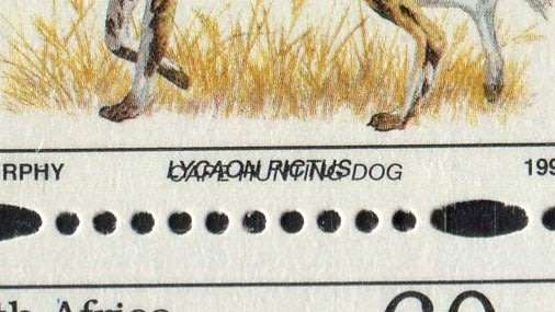 RSA  - 6th Definitive - English Name Printed Over Latin  - Block of 12 - 1993  - MNH