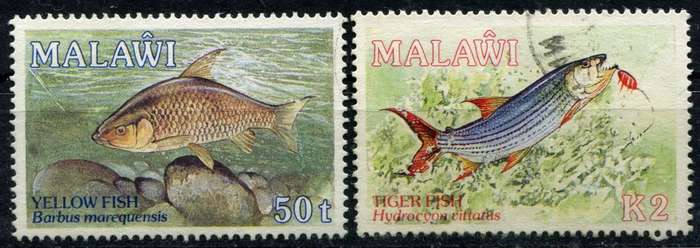 Malawi - Fish - 1989 - Used