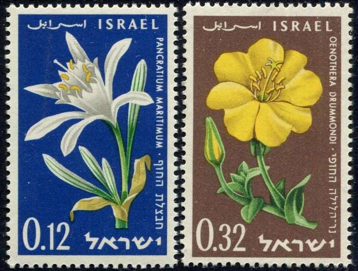 Israel - Flowers - 1960 - MNH