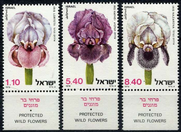 Israel - Flowers - 1978 - MNH
