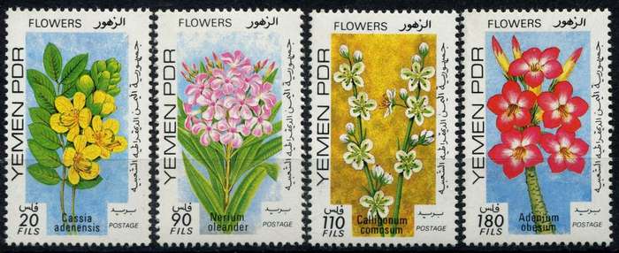 Yemen - Flowers - 1979 - MNH