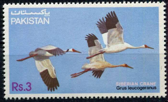 Pakistan - Birds - 1983 - MNH