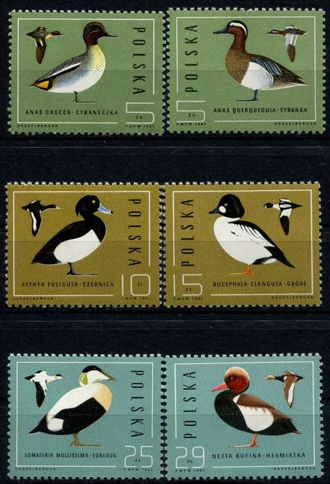 Poland - Birds - 1985 - MNH