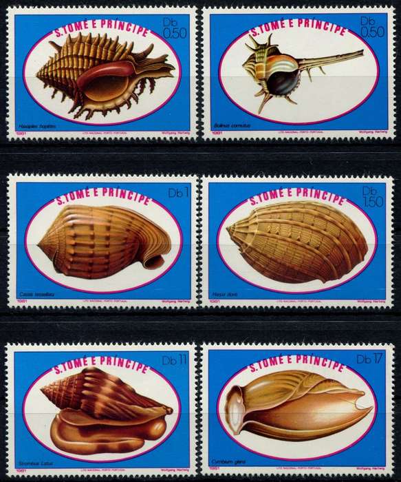 St. Thomas and Prince Islands - Water Life - Shells - 1981 - MNH