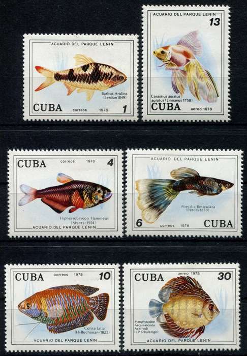 Cuba - Water Life - Fish - 1978 - MNH