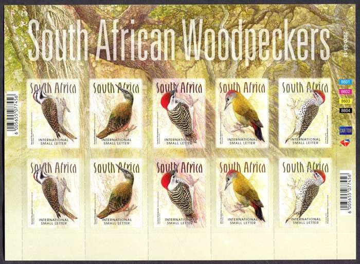 RSA - Birds/Woodpeckers - Full Sheets of 10 - 2020 - MNH