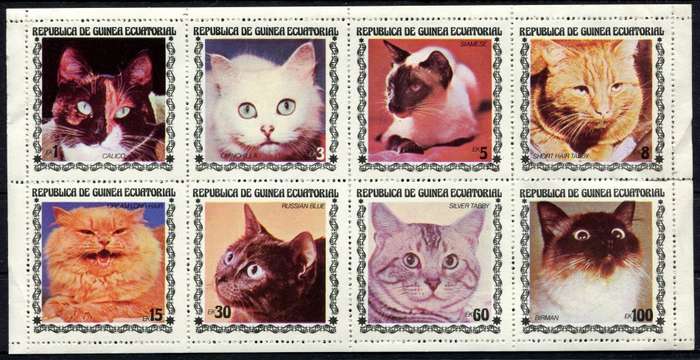Equatorial Guinea - Miniature Sheet - Cats - MNH - Some Separation/Creasing