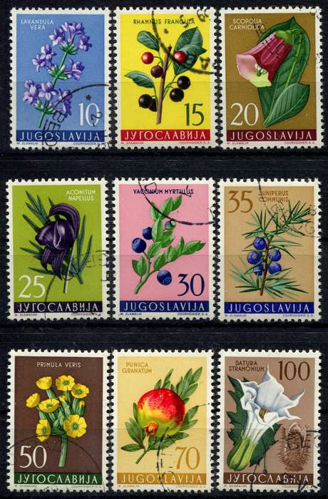 Yugoslavia - Flowers - 1959 - Used