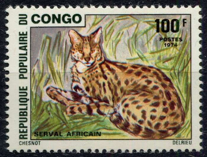 Congo - Animals - 1974 - MNH
