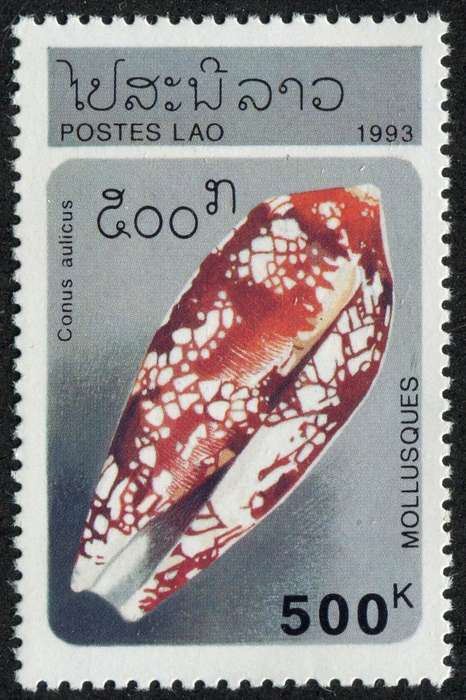 Laos - Shells - 1983 - MNH