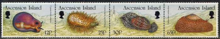Ascension Island - Molluscs - 1996 - MNH