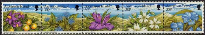 Ascension Island - Flowers - 1997 - MNH