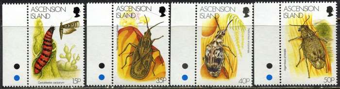 Ascension Island - Insects - MNH