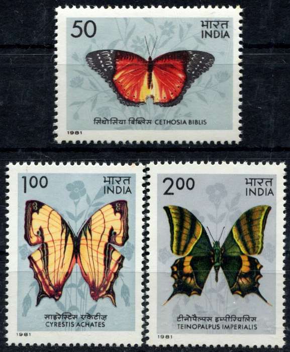 India - Butterflies - 1981 - MNH
