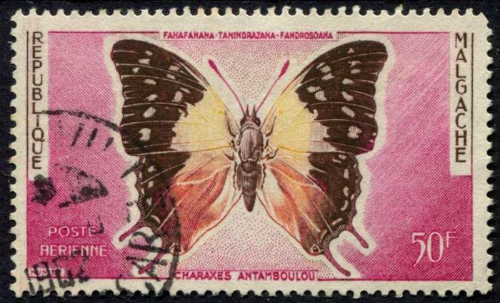 Malagasy - Butterflies  - 1960 - Used