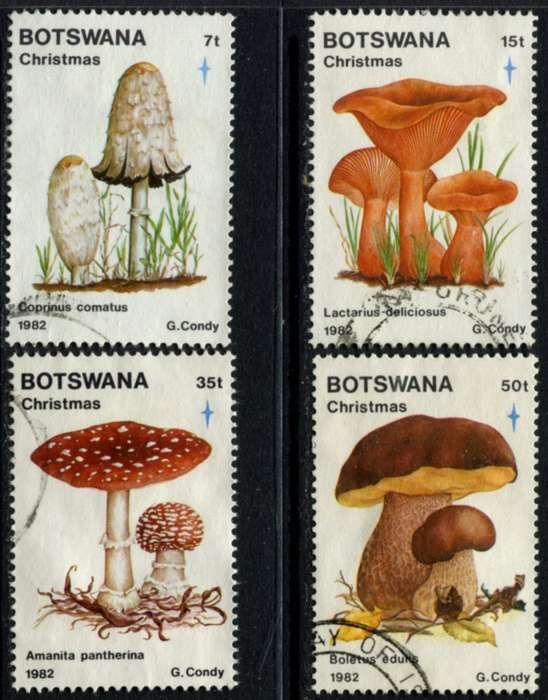 Botswana - Fungi - 1982 - Used