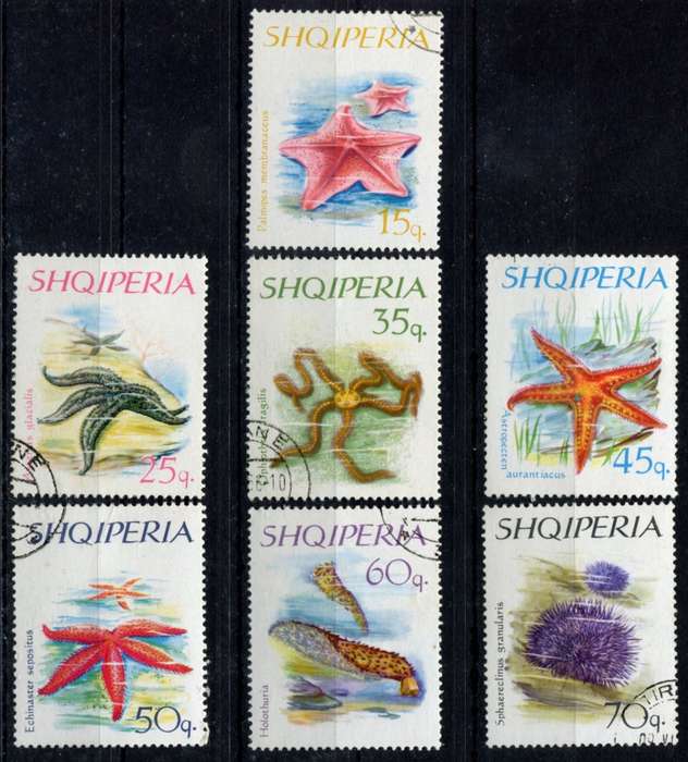 Albania - Marine Life - 1966 - Used