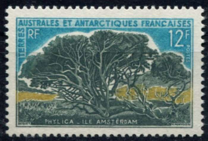 French Southern and Antarctic Territories - 1963 - MNH