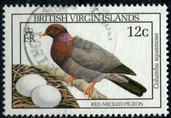 Virgin Islands - Birds - 1990 - Used