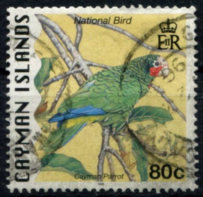 Cayman Islands - Birds - 1996 - Used