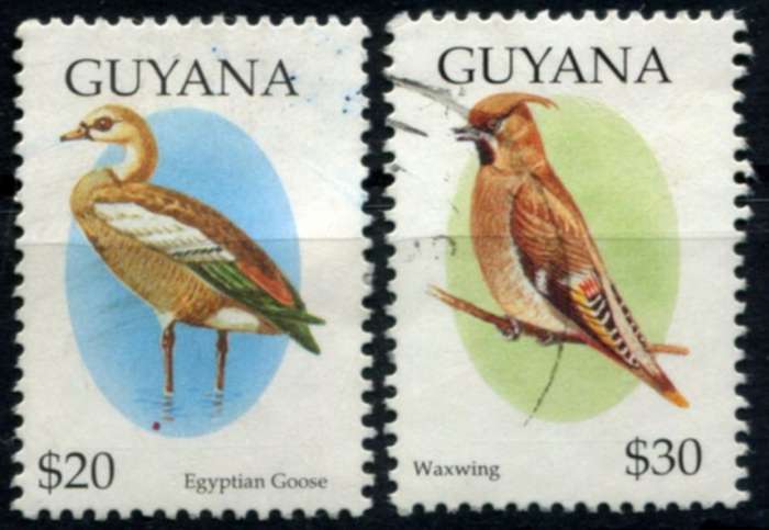 Guyana - Birds - 1995 - Used