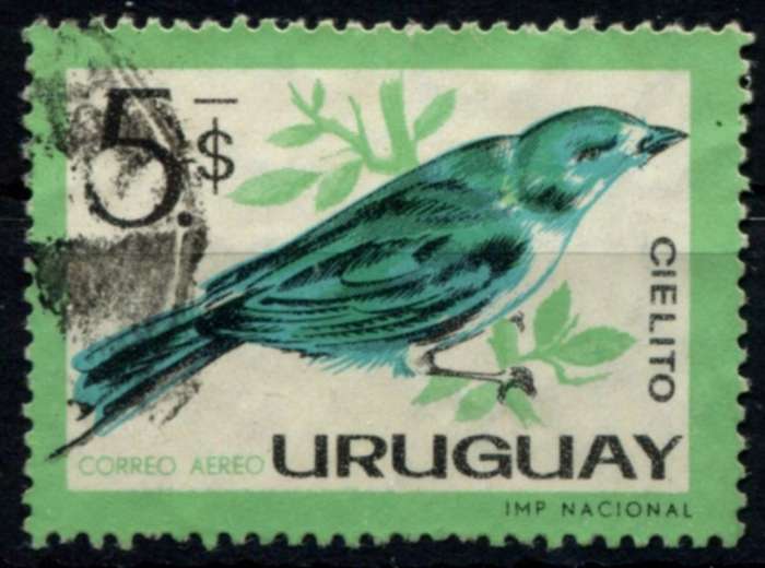 Uruguay - Birds - 1962 - Used