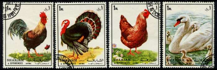 Sharjah - Birds - Used
