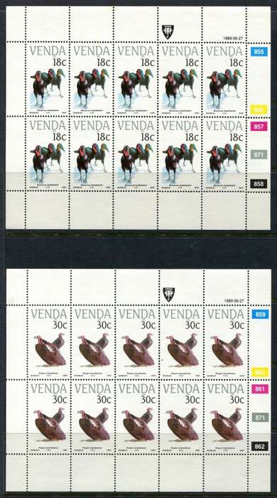 Venda - Birds - Set of 4 Full Sheets of 10 - 1989 - MNH - Some Very Light Toning