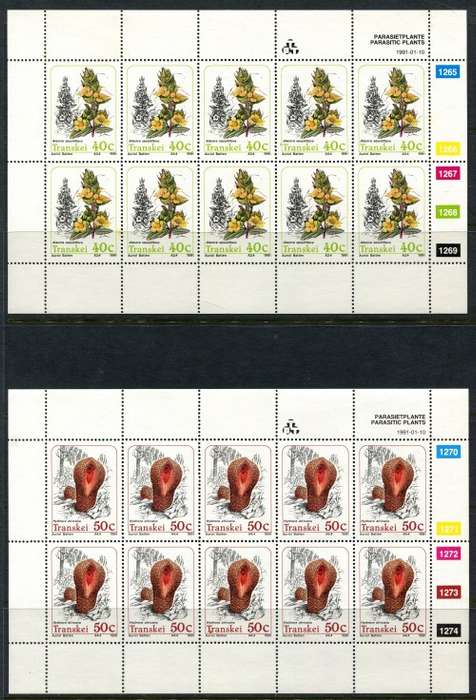 Transkei - Set of 4 Full Sheets of 10 -1991 -  MNH - Some Very Light Toning