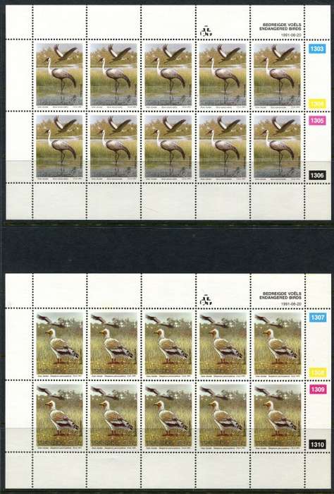Transkei - Birds - Set of 4 Full Sheets of 10 -1991 -  MNH - Some Very Light Toning