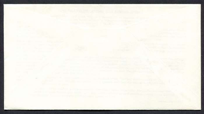 RSA - Foundation Miniature Sheet FDC 6 - 1991