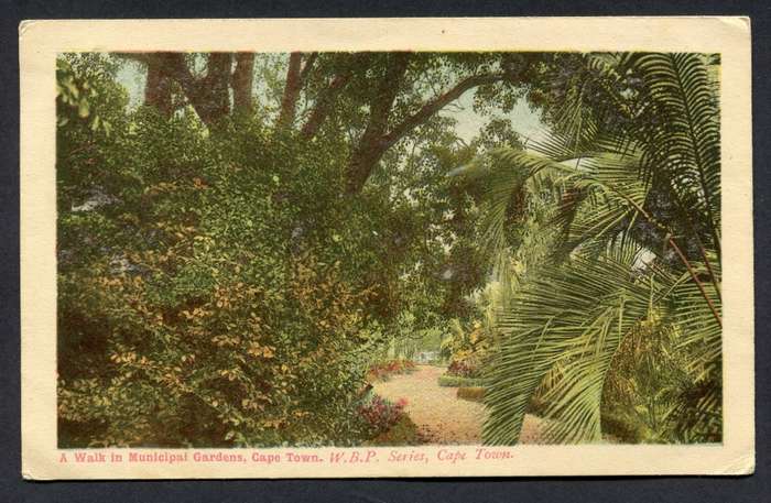 Cape of Good Hope - Post Card
