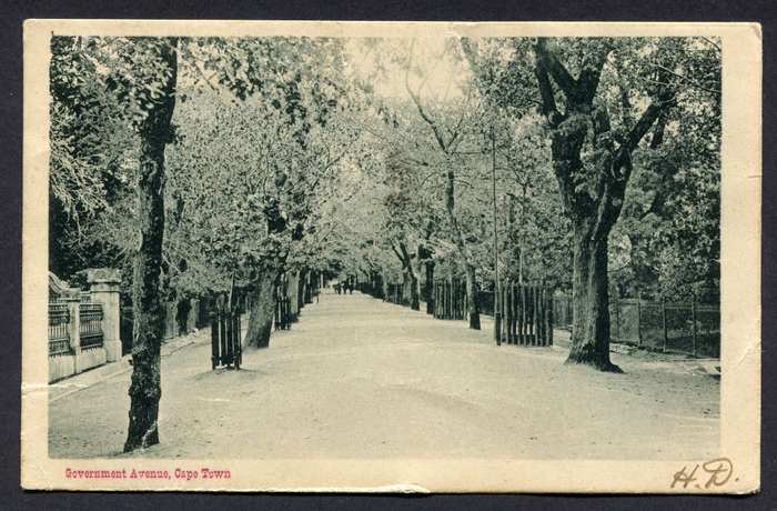 Post Card