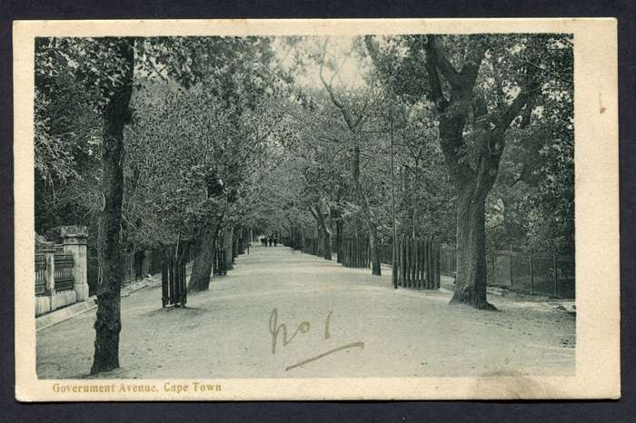 Post Card
