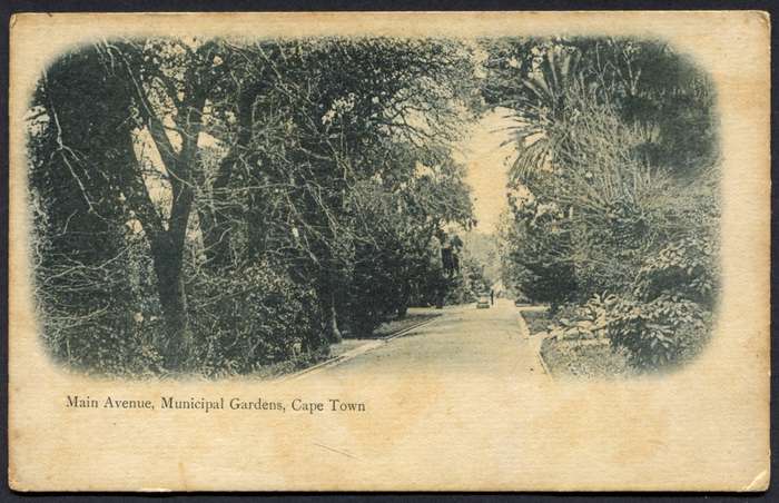 Post Card