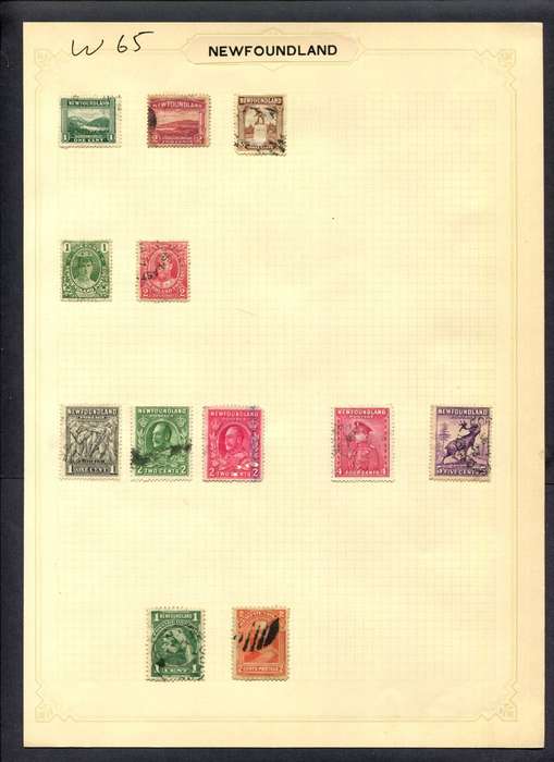 Newfoundland - 12 Stamps Mounted (Hinged) On Album Page