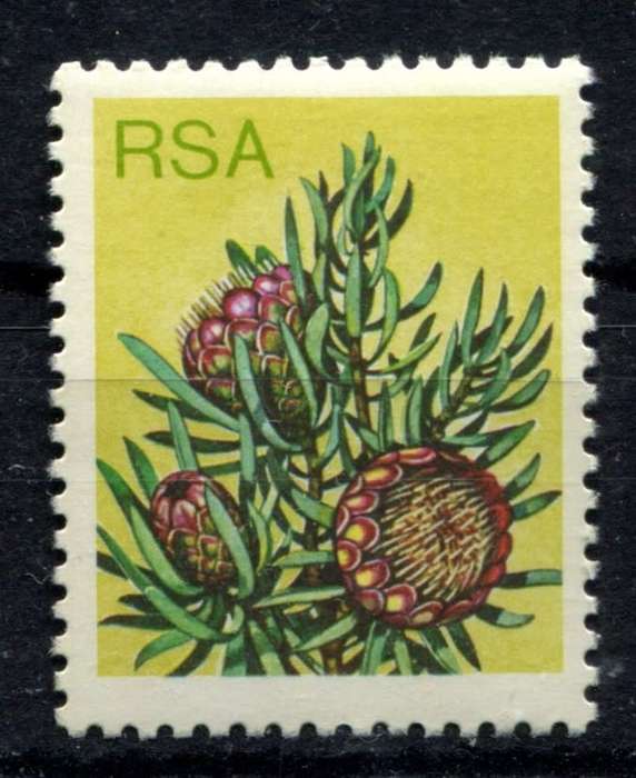 RSA - Protea 6c Variety Black Omitted - 1977 - MNH