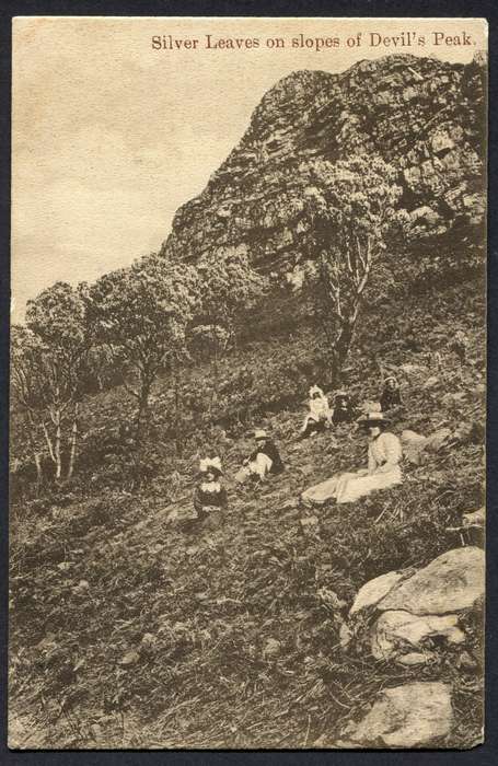 Cape of Good Hope - Post Card