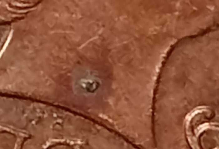 2009 GREAT BRITAIN  1 PENNY / NEW PENCE (with multiple small errors extra metal)
