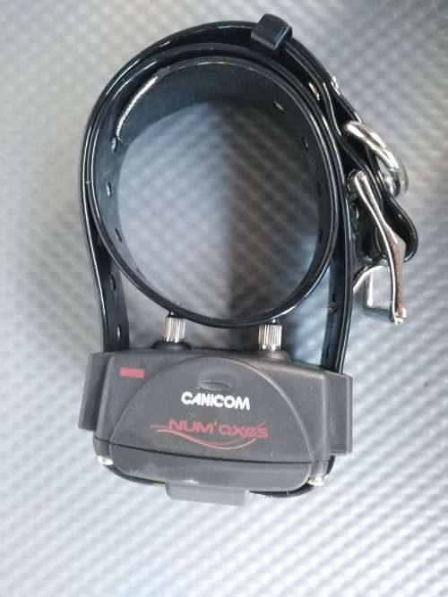 CANICOM 200 FIRST REMOTE TRAINING COLLAR