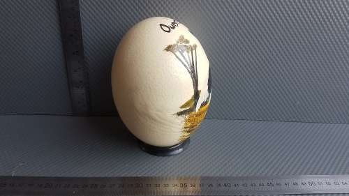 Vintage! Painted Ostrich Egg With Stand - Oudtshoorn South Africa.