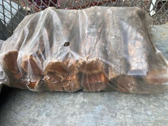 Quality, dry Sekelbos braai wood for sale